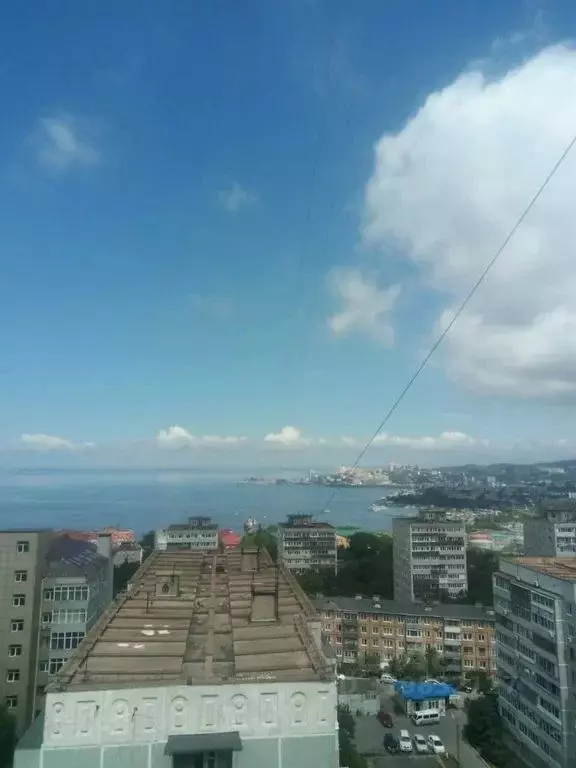 3-к кв. Приморский край, Владивосток Океанский просп., 101А (60.0 м) - Фото 0