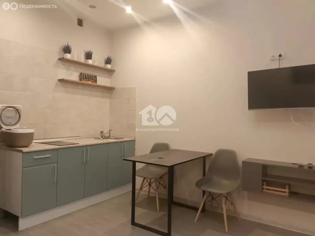 Квартира-студия: Новосибирск, Красный проспект, 310 (28.7 м) - Фото 1
