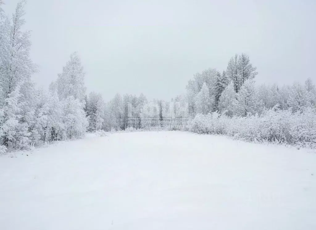 Участок в Карелия, Прионежский район, Деревянское с/пос, Педасельга ... - Фото 1