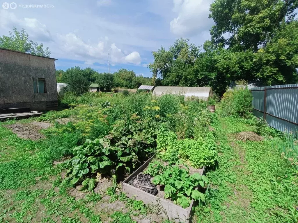 Участок в Новосибирск, СТ Заря-1 (5 м) - Фото 1