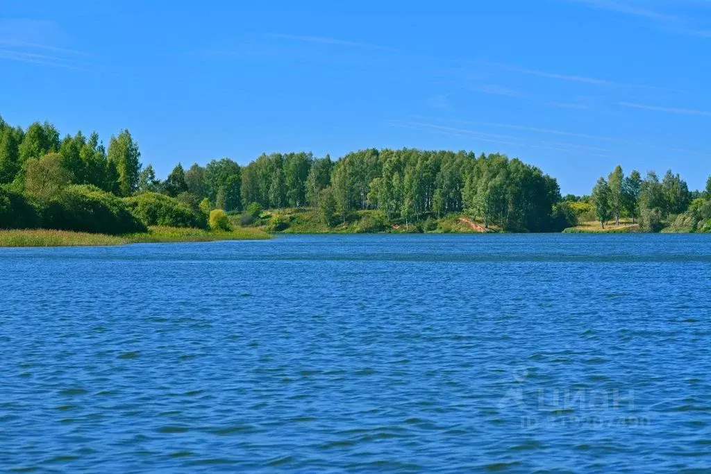 Участок в Смоленская область, Сычевский муниципальный округ, д. ... - Фото 2