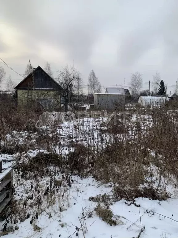 Участок в Тюменская область, Тюмень Факел СНТ, 7-я линия (11.0 сот.) - Фото 1