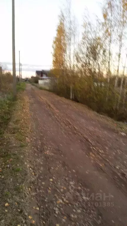 Участок в Новгородская область, Новгородский район, Трубичинское ... - Фото 0