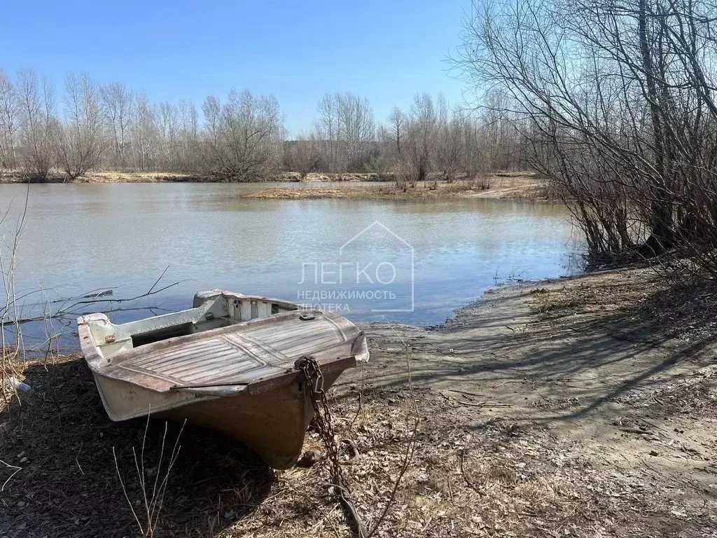 Участок в Новосибирская область, Колыванский район, Заря СНТ ул. Новая ... - Фото 0