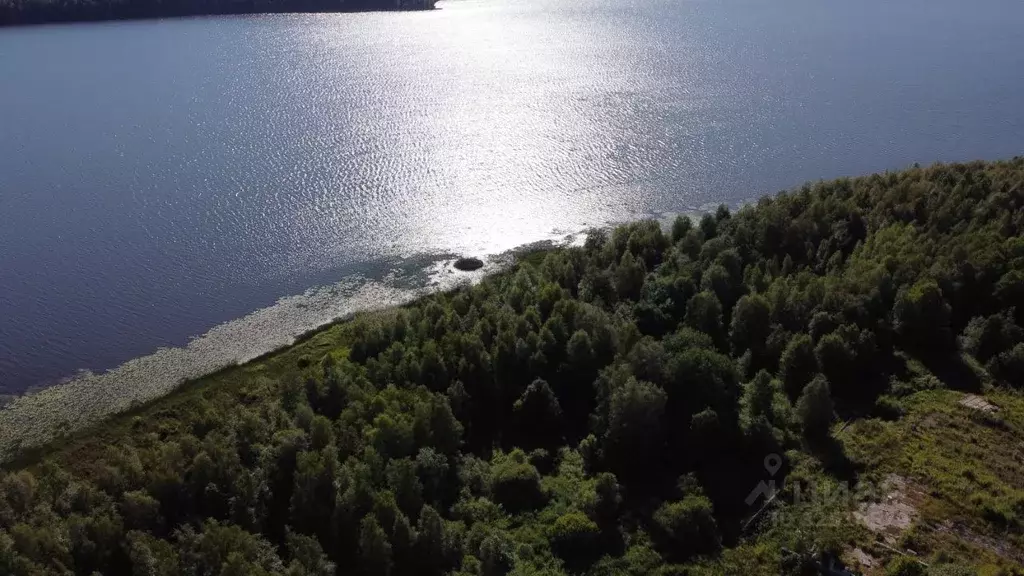 Участок в Карелия, Сортавальский муниципальный округ, пос. Пуйккола  ... - Фото 2