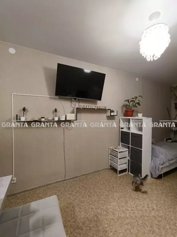 Студия Красноярский край, Красноярск ул. Калинина, 175В (31.0 м) - Фото 1