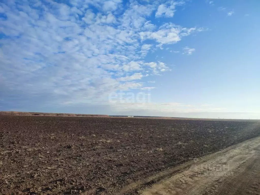 Участок в Крым, Сакский район, с. Штормовое ул. Ленина (200.0 сот.) - Фото 1