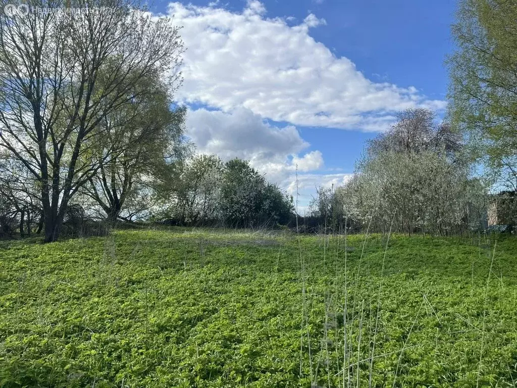 Участок в деревня Игумново (8.5 м) - Фото 2