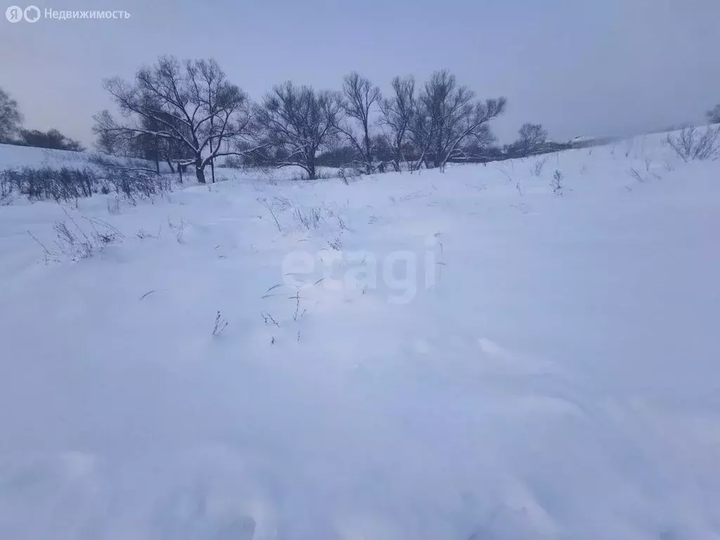 Участок в Калужская область, Тарусский муниципальный округ, сельское ... - Фото 1