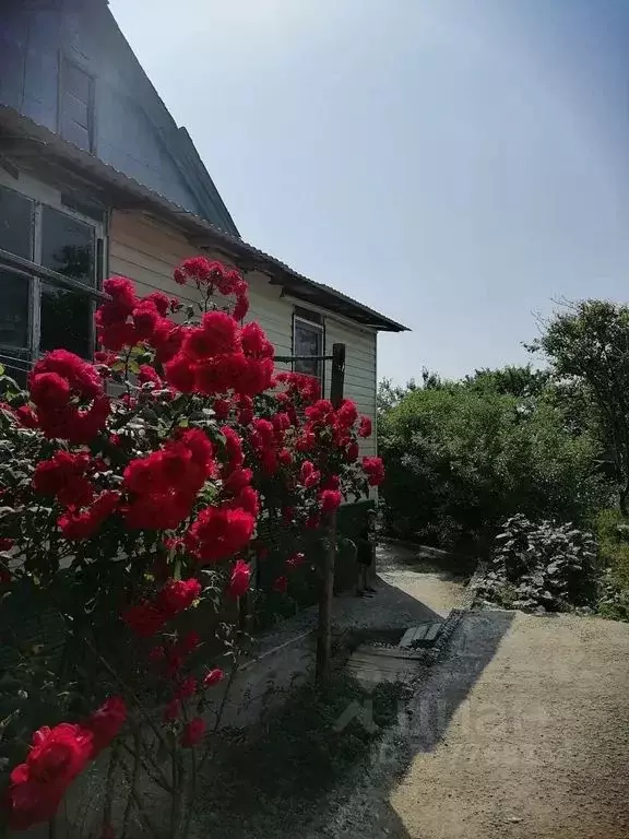 Комната Краснодарский край, Сочи Макопсе мкр, ул. Греческая, 30 - Фото 1