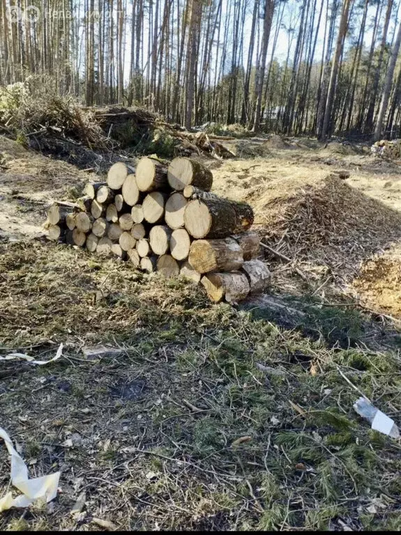 Участок в Богородский городской округ, КП Родное Пешково (9 м) - Фото 1
