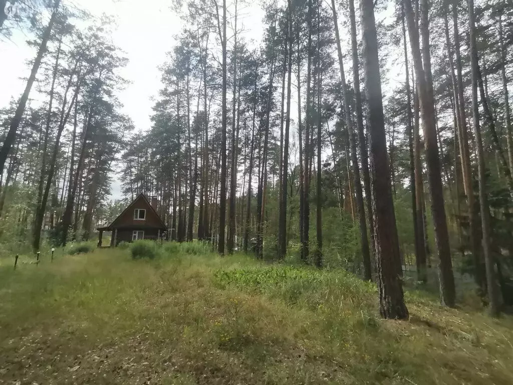 Участок в Кокшайское сельское поселение, территория База отдыха Ландыш ... - Фото 0