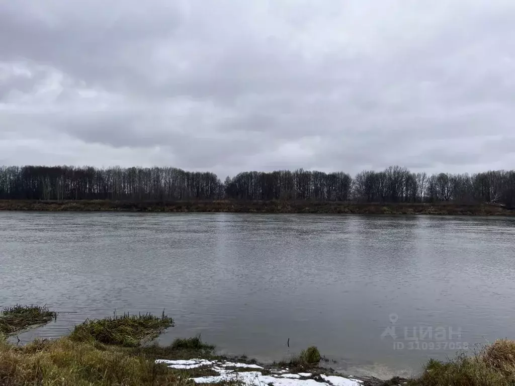 Участок в Рязанская область, Шиловский район, Ерахтурское с/пос  ... - Фото 2