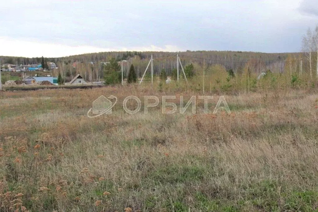 Участок в Свердловская область, Тугулымский муниципальный округ, с. ... - Фото 2