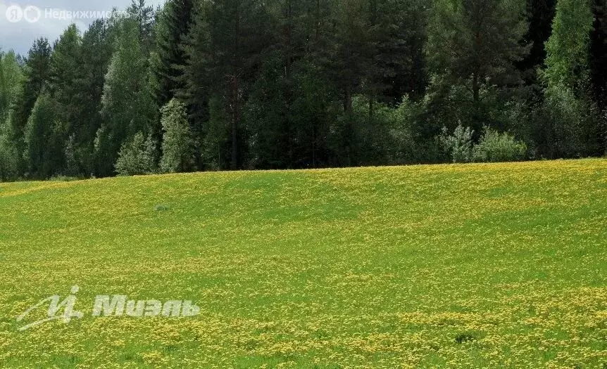 Участок в Московская область, городской округ Истра, деревня Алексино ... - Фото 0