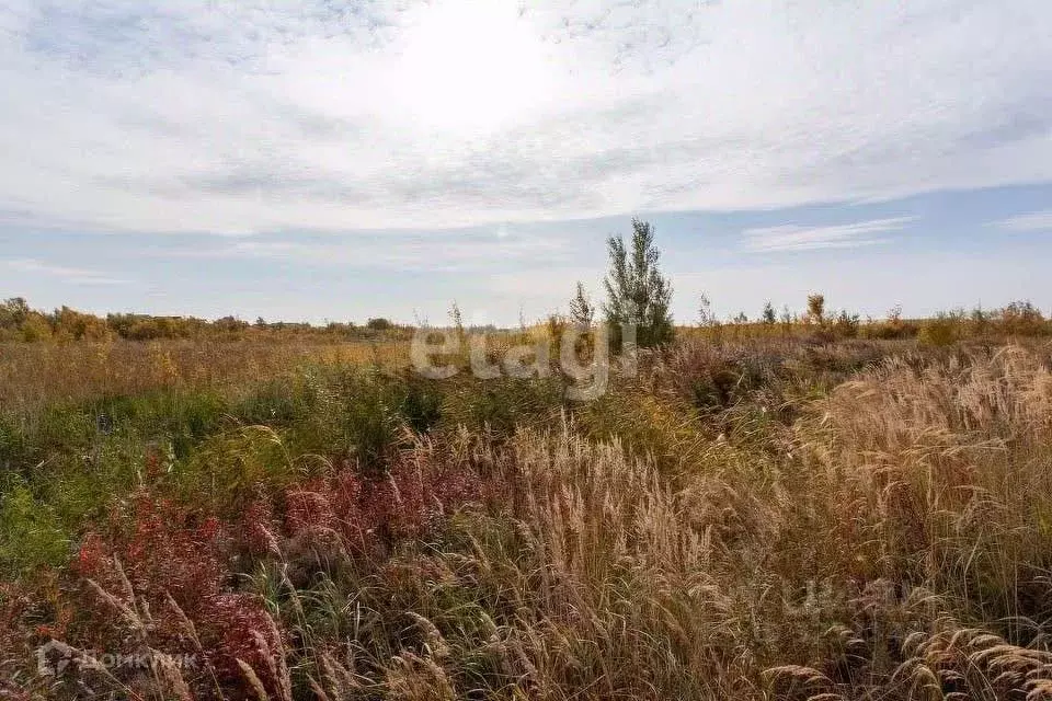 Участок в Кировская область, Кирово-Чепецкий район, Кстининское с/пос, ... - Фото 2