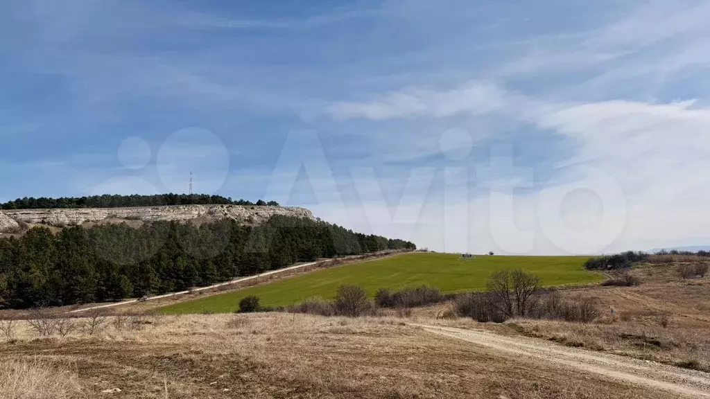 Участок 6 сот. (СНТ, ДНП) - Фото 0