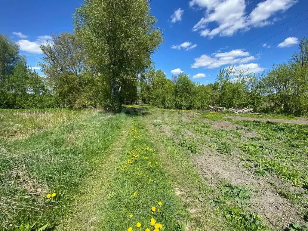 Участок в Брянская область, Почепский район, Витовское с/пос, с. ... - Фото 1
