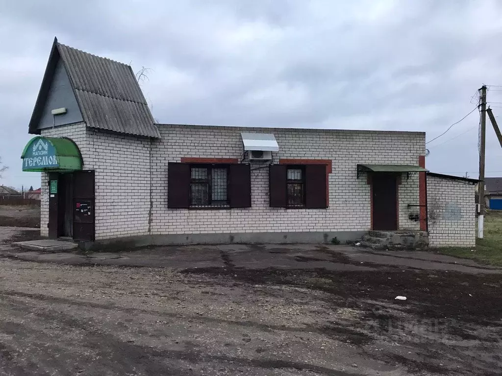 Торговая площадь в Воронежская область, Лискинский район, Дракинское ... - Фото 2