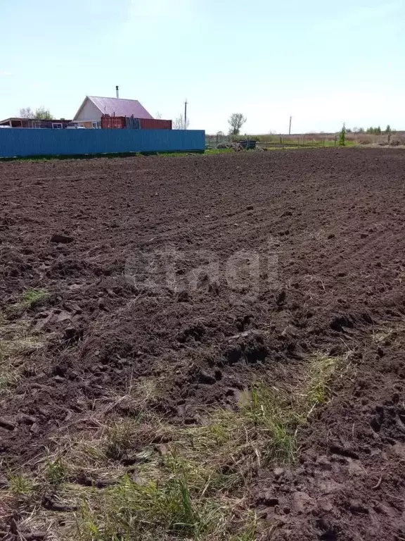 Участок в Амурская область, Благовещенский район, с. Усть-Ивановка  ... - Фото 0