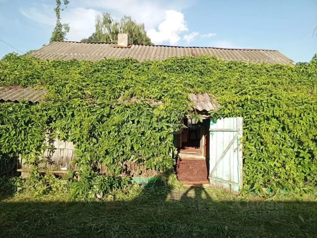Дом в Пензенская область, Мокшанский район, с. Долгоруково ул. ... - Фото 2