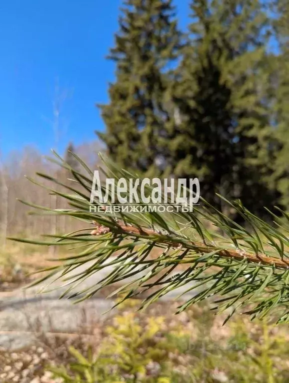 Дом в Карелия, Лахденпохья пос. Хуухканмяки,  (34 м) - Фото 2