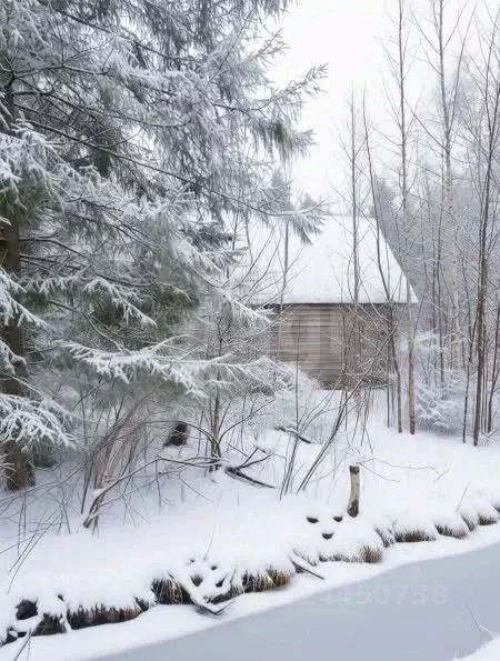 Участок в Ленинградская область, Волховский район, Кисельнинское ... - Фото 1