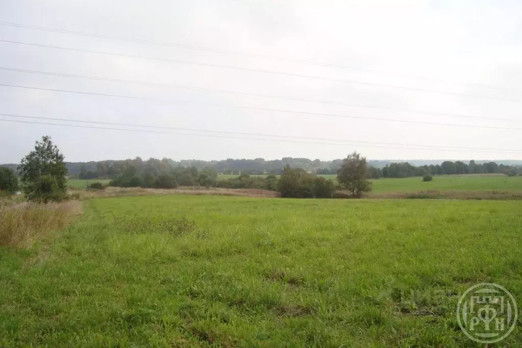 Участок в Ленинградская область, Выборгский район, Красносельское ... - Фото 1