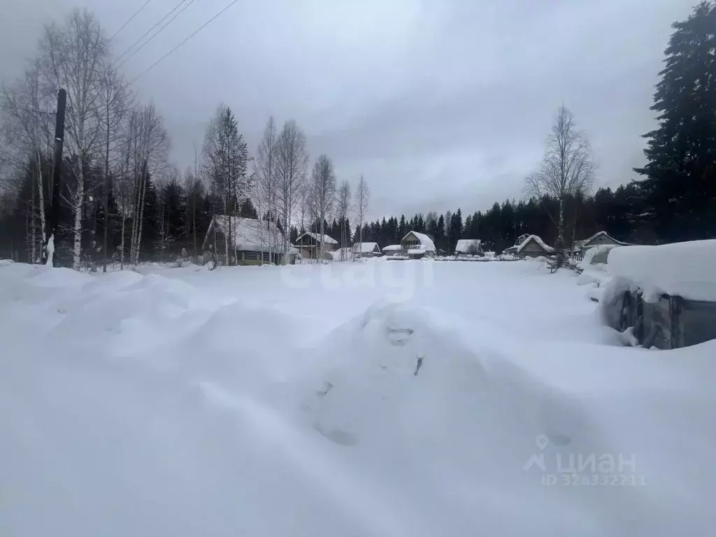 Участок в Коми, Сыктывдинский район, Выльгорт муниципальное ... - Фото 1
