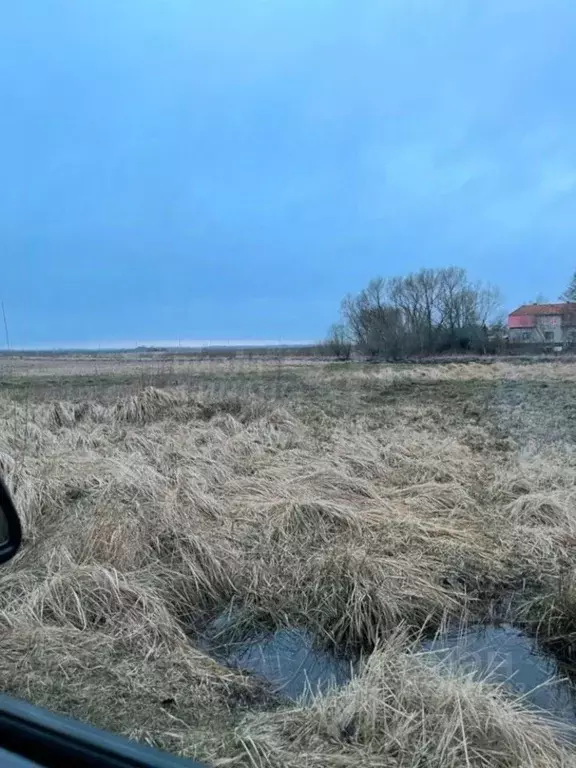 Участок в Калининградская область, Гурьевский муниципальный округ, ... - Фото 2