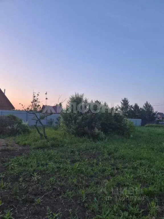 Участок в Новосибирская область, Коченево рп  (7.0 сот.) - Фото 0