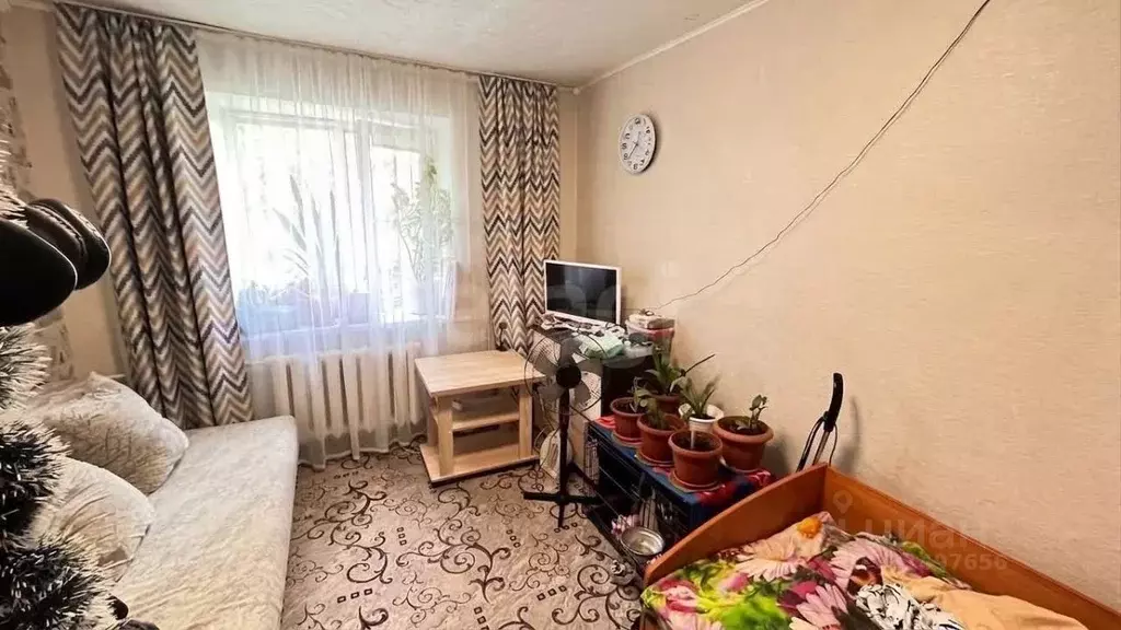 1-к кв. Пермский край, Березники ул. Ломоносова, 147 (24.7 м) - Фото 2