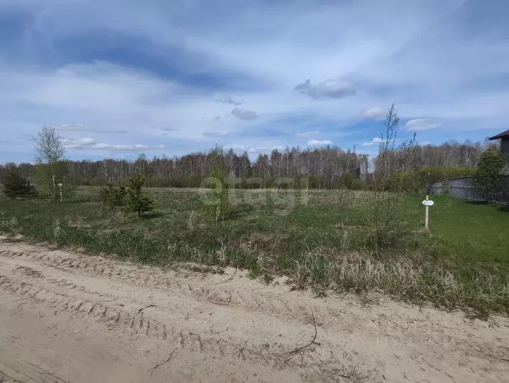 Участок в Тюменская область, Тюменский муниципальный округ, д. Якуши, ... - Фото 1