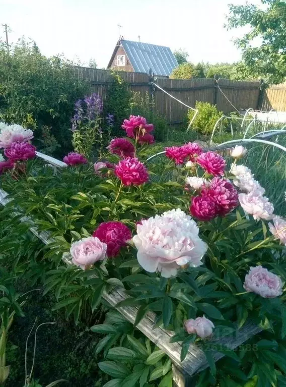 Дом в Ленинградская область, Гатчинский муниципальный округ, Новинка ... - Фото 2