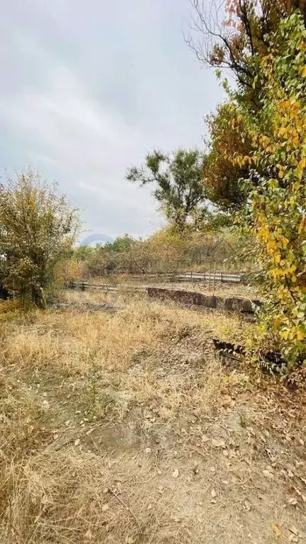 Участок в Саратовская область, Саратов ул. Прохоровская (4.2 сот.) - Фото 1