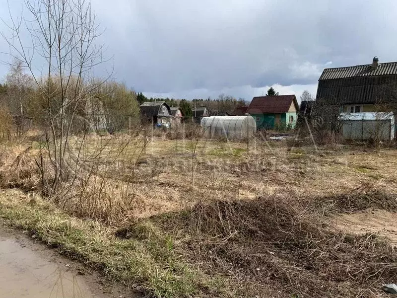 Участок 6 сот. (СНТ, ДНП) - Фото 1