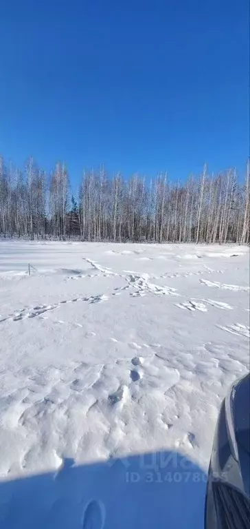 Участок в Челябинская область, Сосновский район, Кременкульское с/пос, ... - Фото 0