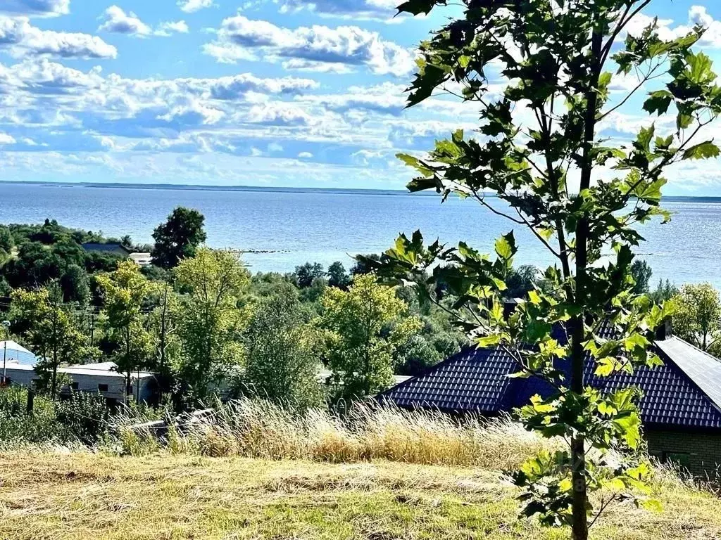 Участок в Вологодская область, Череповецкий район, с. Мякса  (15.0 ... - Фото 0