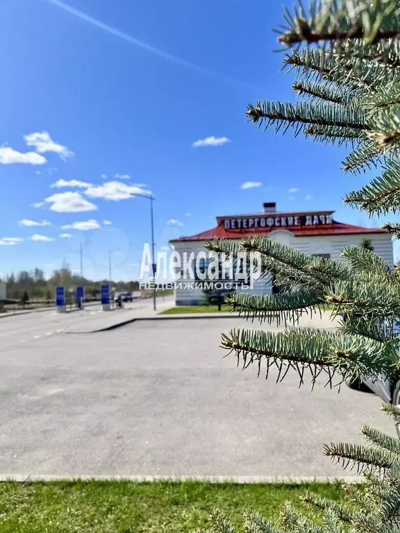 Коттедж 375,5 м на участке 13,5 сот. - Фото 1