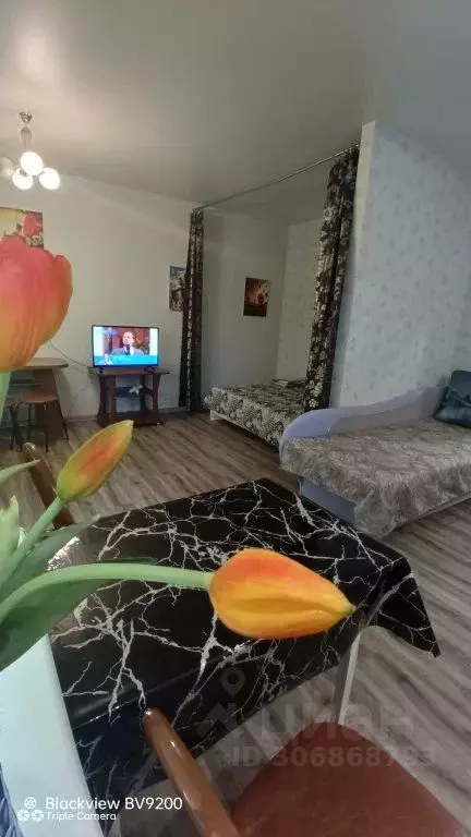 Студия Иркутская область, Иркутск ул. Лермонтова, 1 (40.0 м) - Фото 0