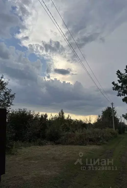 Участок в Саратовская область, Балаковский район, Натальинское ... - Фото 0