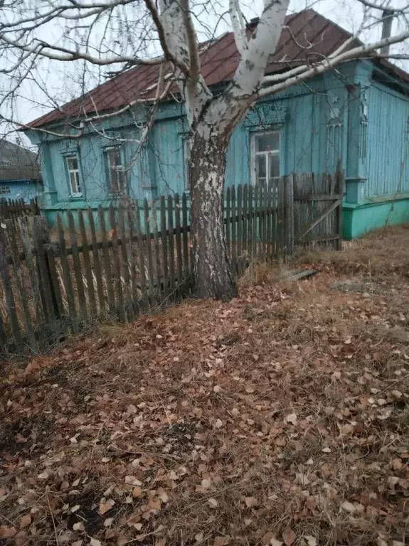 Дом в Саратовская область, Новобурасский район, Белоярское ... - Фото 0