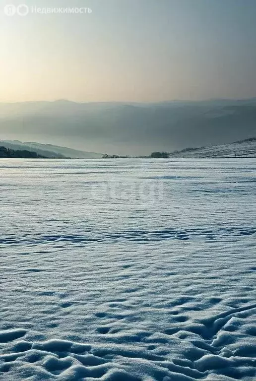 Участок в Смоленский район, село Черновая (2799.9 м) - Фото 1