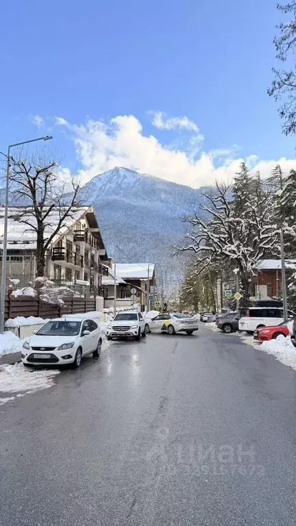 Участок в Краснодарский край, Сочи Красная Поляна пгт, ул. Трудовой ... - Фото 1