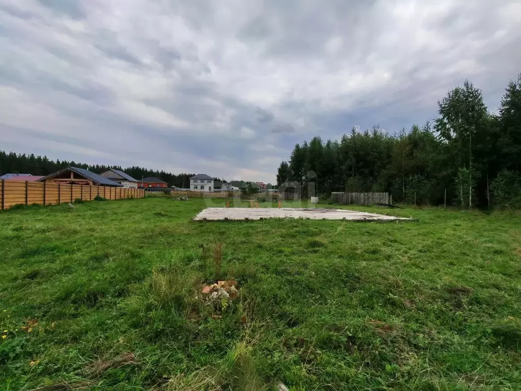Участок в Нижегородская область, Выкса городской округ, с. Нижняя ... - Фото 1