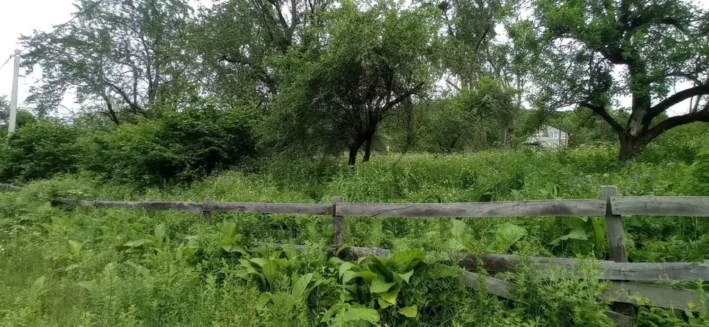 Участок в Краснодарский край, Апшеронский район, Мезмайское с/пос, ... - Фото 1