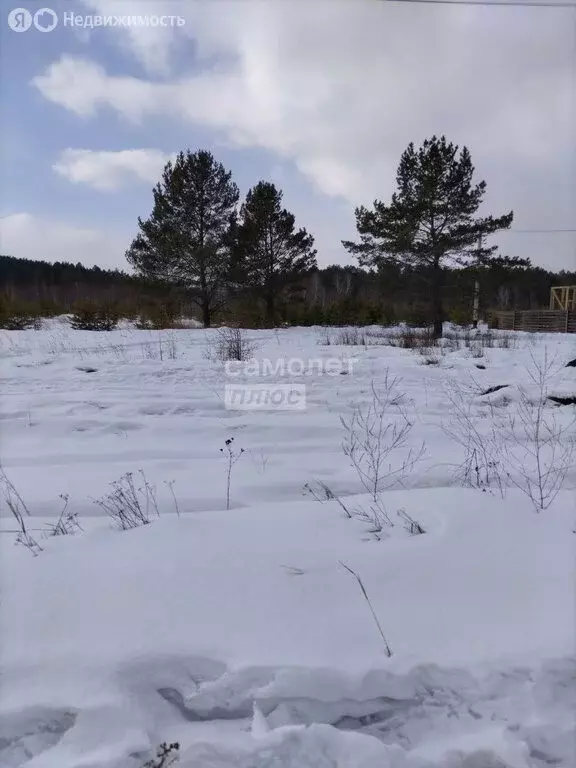 Участок в село Шаманка, Комсомольская улица (13 м) - Фото 1