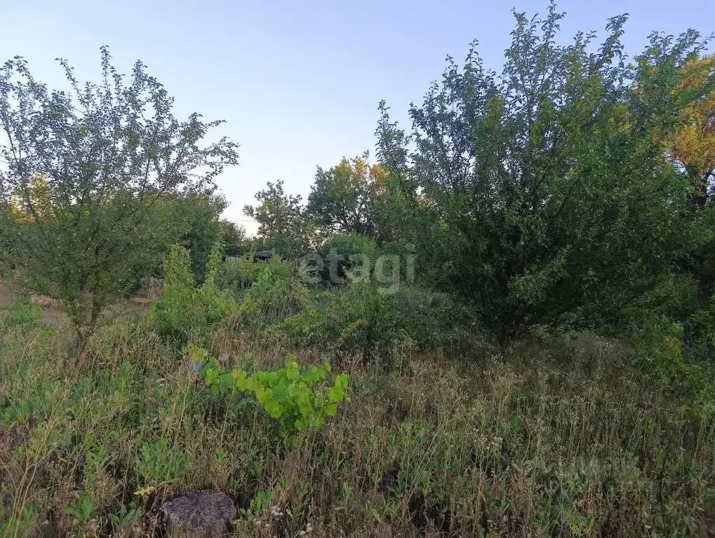 Участок в Краснодарский край, Ейск Восход СНТ,  (5.0 сот.) - Фото 0
