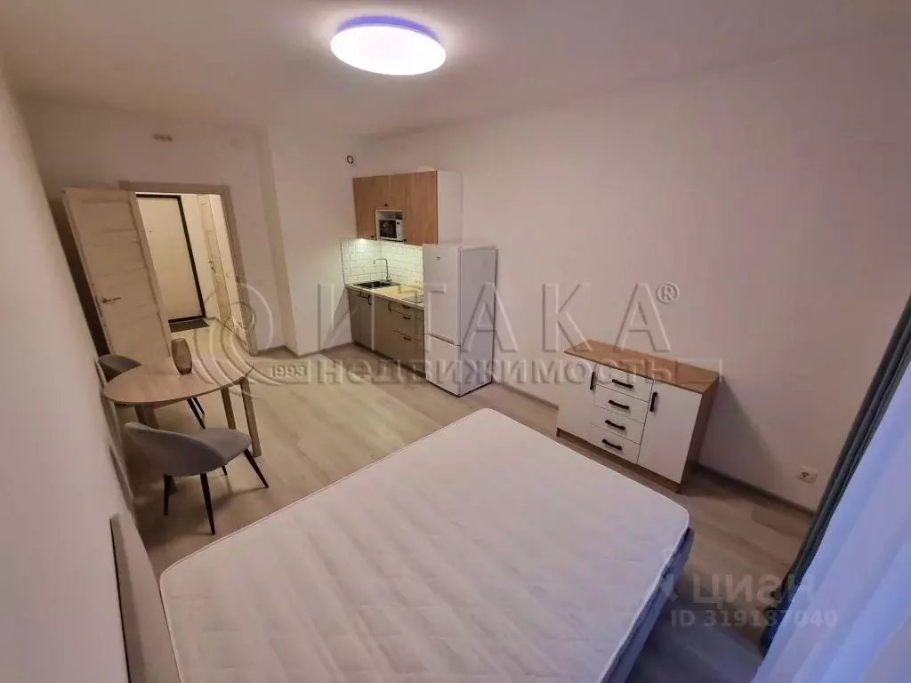 Студия Санкт-Петербург аллея Арцеуловская, 21 (25.0 м) - Фото 1