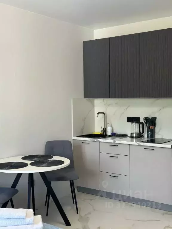 1-к кв. Краснодарский край, Сочи ул. Искры, 88к6 (26.0 м) - Фото 1